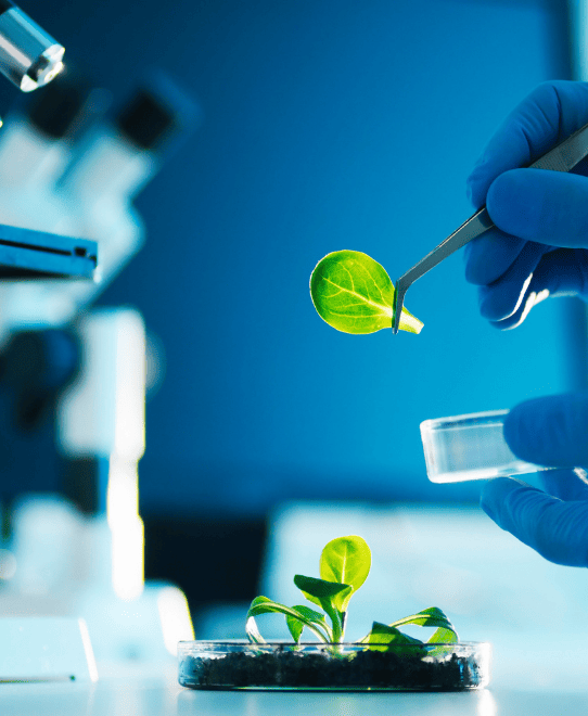 Sıkça Sorulan Sorular